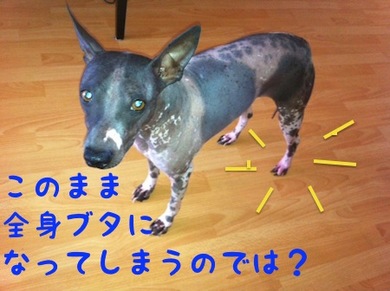 豚足1.jpg