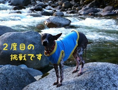 kawade.jpeg