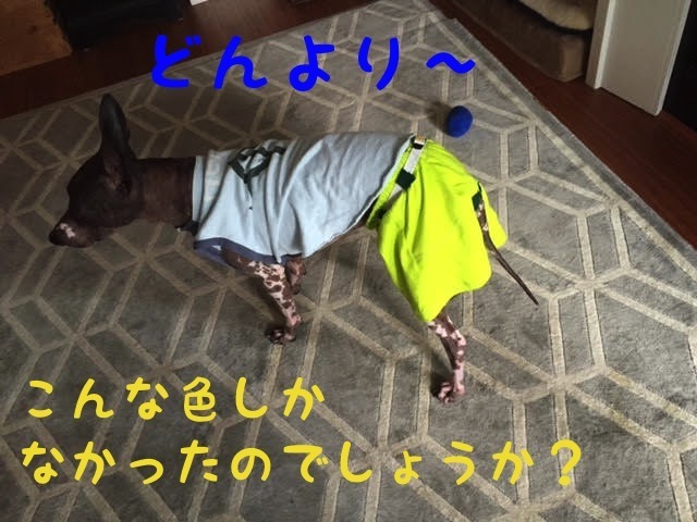 パンツ2.jpg