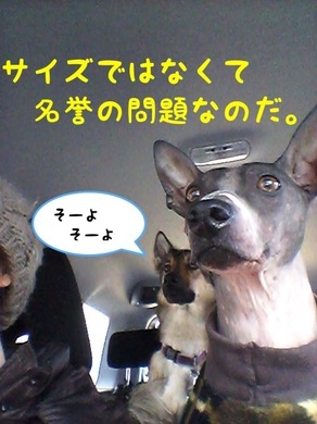 名誉の問題.jpeg
